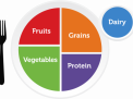 Childhood Nutrition