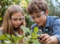 How to Build a Classroom Garden